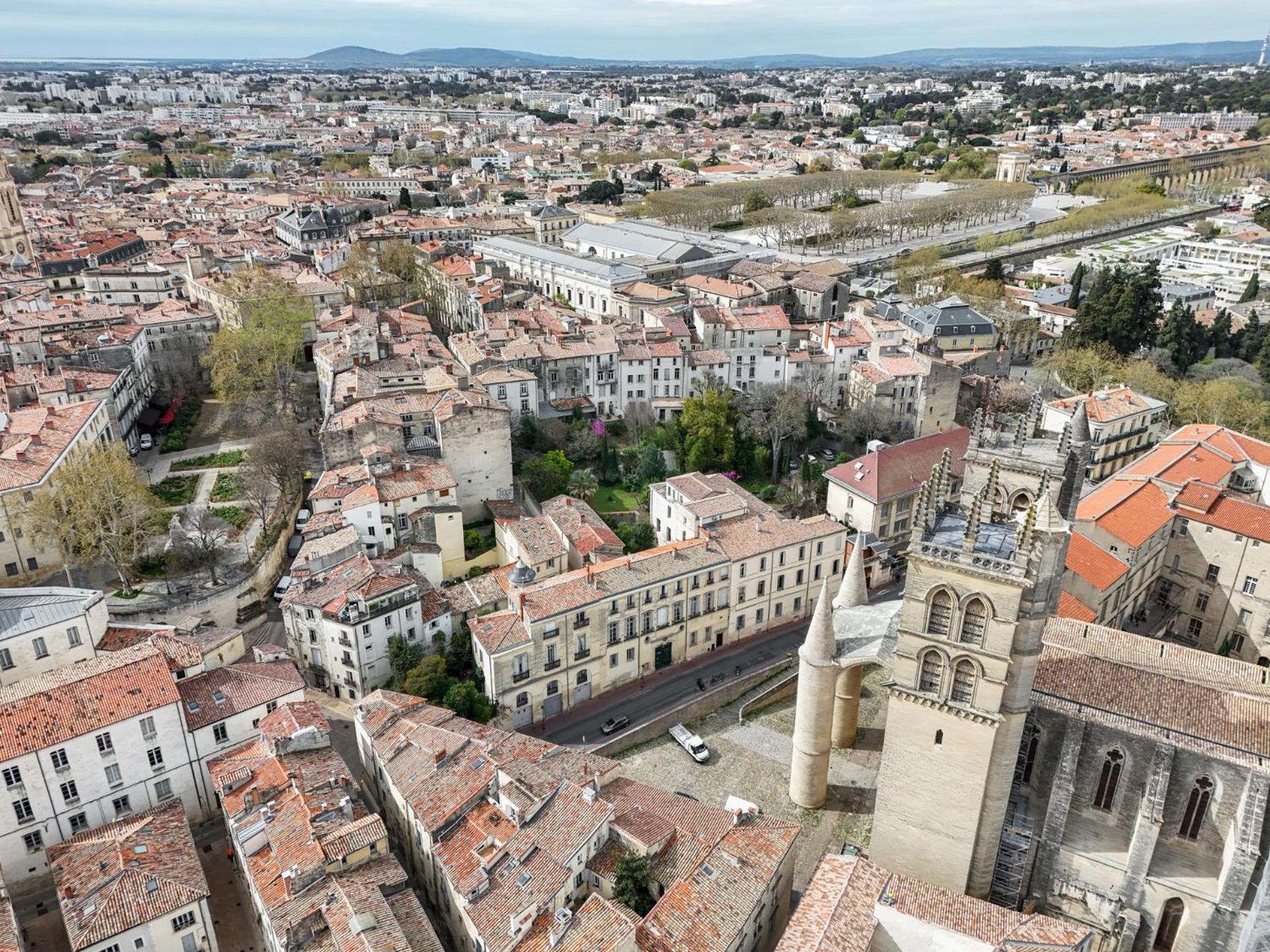 Ferienwohnung La Terrasse, Vue Sur Les Toits De Montpellier Exterior foto